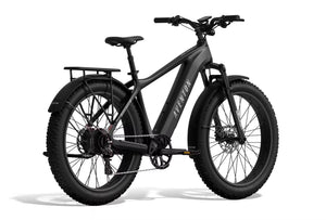 Aventon e-Bikes Aventon Aventure 3 E-Bike - Step Over