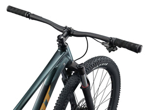 Giant Mountain Giant Talon 29 2