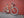 Ottawa Bike and Trail Service Custom Bicycle Build Consultation/Deposit