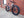 State Bicycle State 6061 Fat Bike - Size M