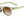 Tifosi Optics Sunglasses Crystal Champagne Tifosi Optics Svago Sunglasses