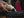 WTB Tire Sealant WTB Tubeless Tire Sealant